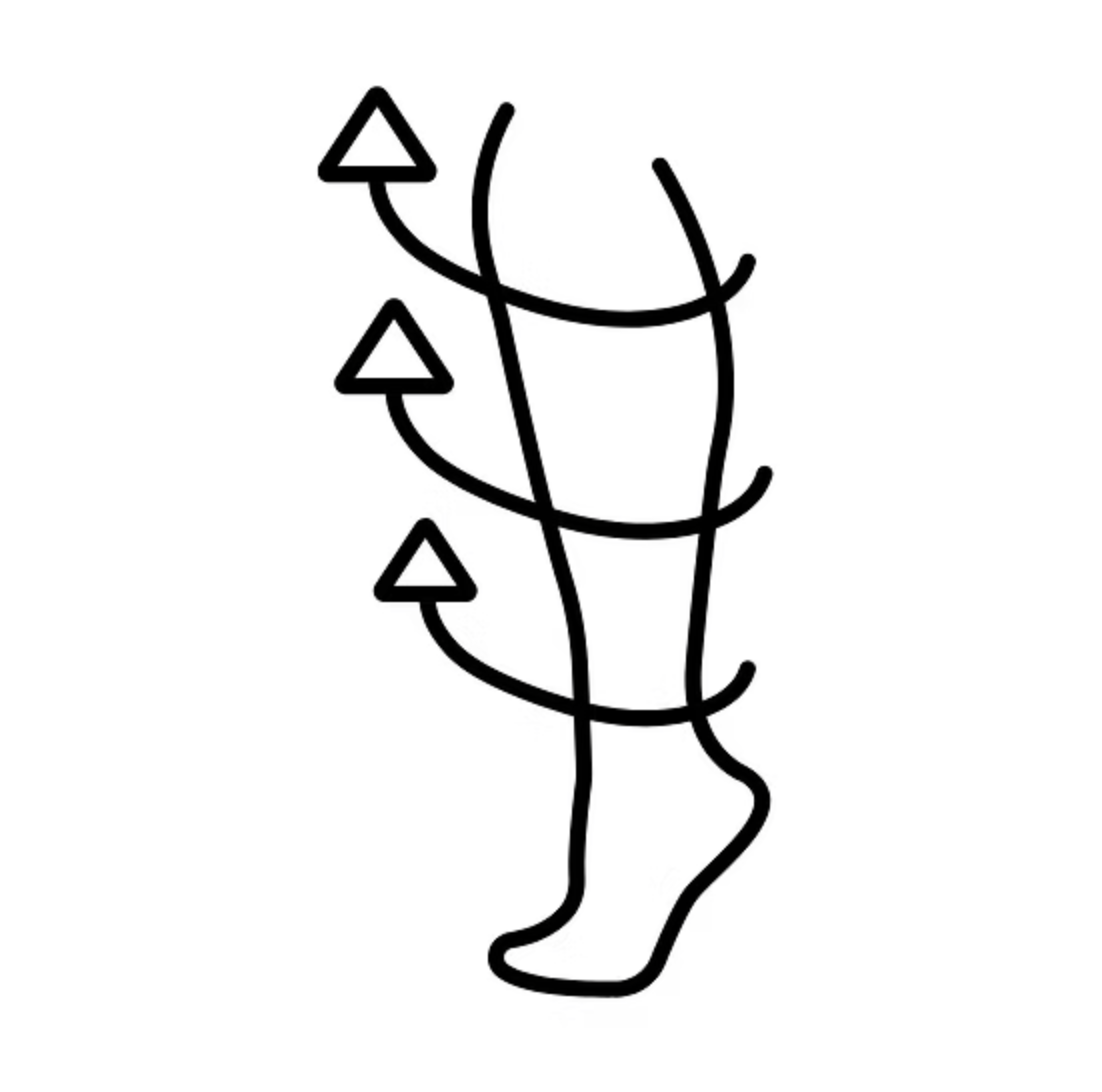 Black line drawing of a plant, featuring a stem with three leaves and a small flower at the top.