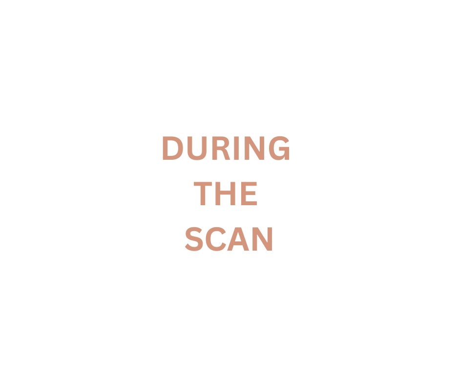 Text on a white background reading 'During the scan' in brown letters.