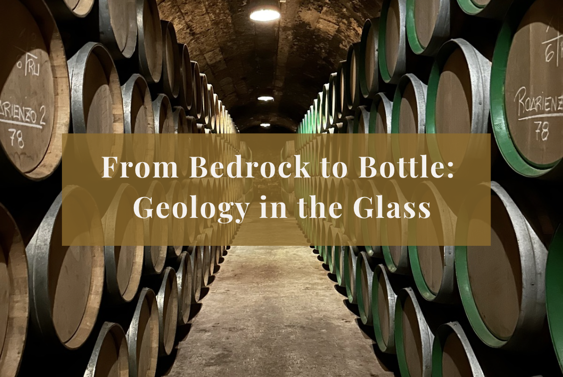 Wine barrels stored in a cellar with a barrel-lined arched ceiling and a central corridor.