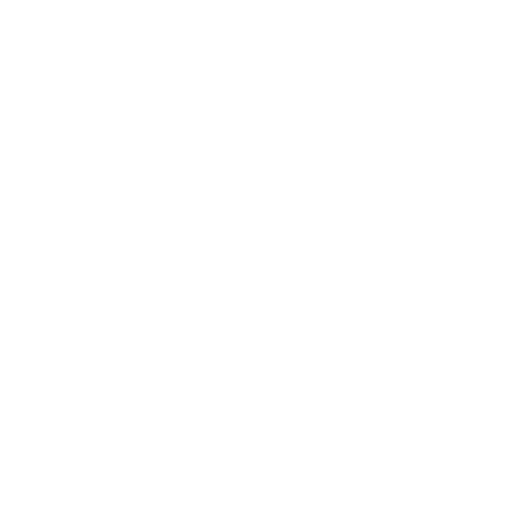 Icon of a camera used for social media or photography.
