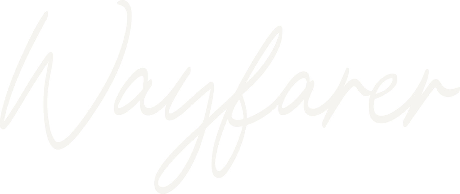 Wayfarer Mobility