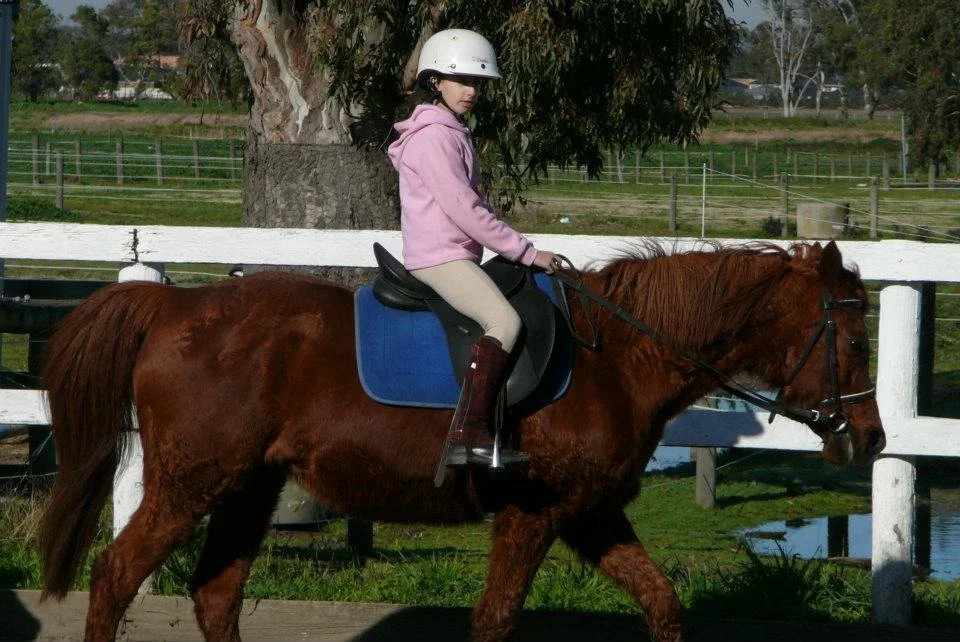 A Pony Named Vegemite, a Category Problem &amp; 3rd Place in a Grand Final Pitch