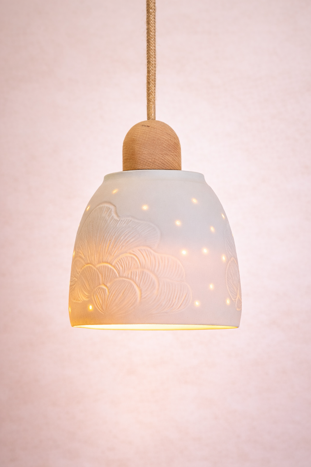 suspension pleurote.png