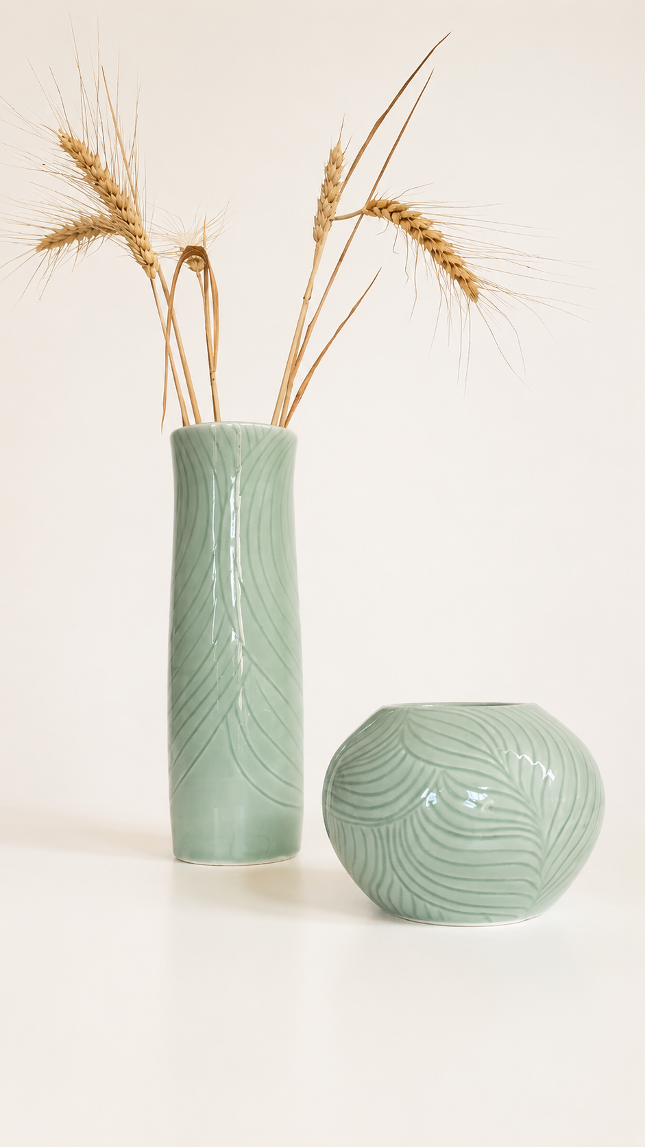 Collection Lignes.png