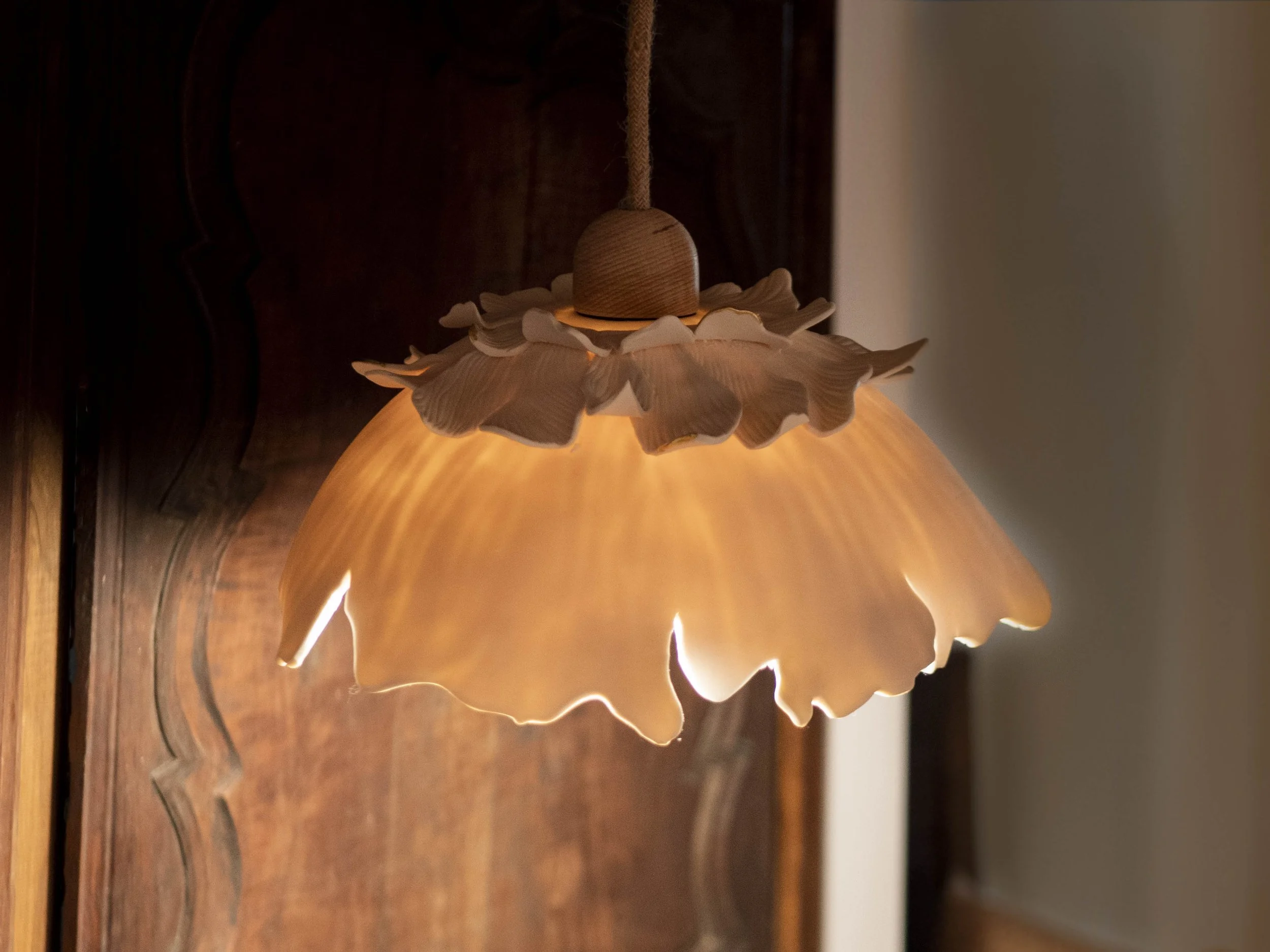 Danjou Camille Suspension Marion.jpg