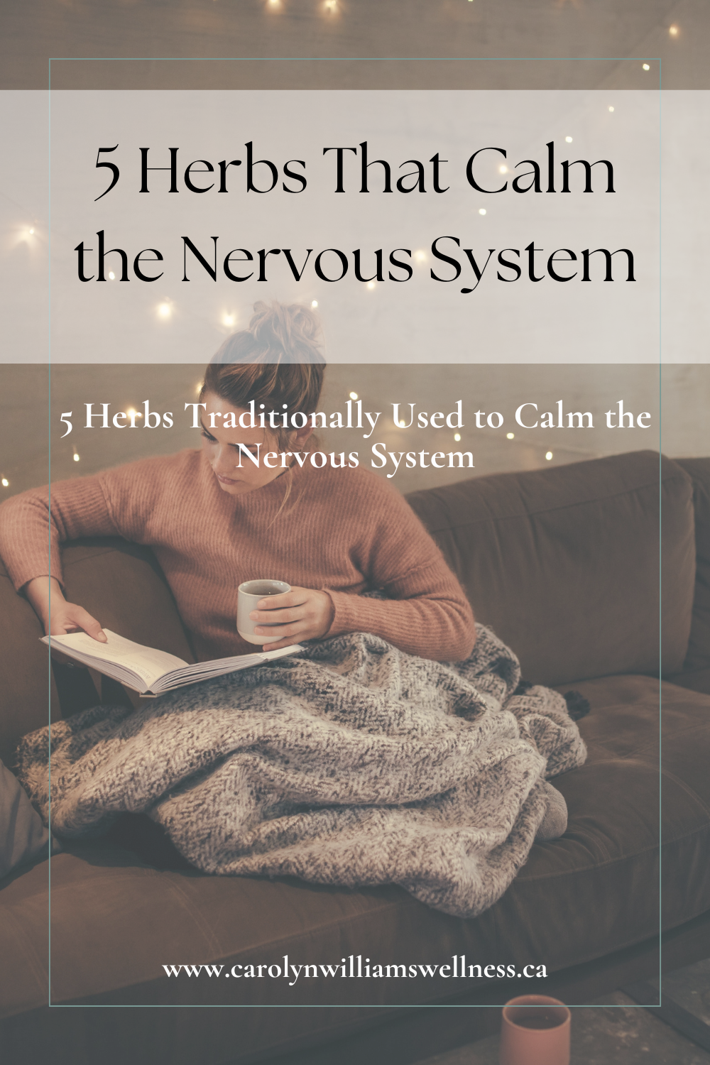 5 Herbs That Calm the Nervous System Naturally