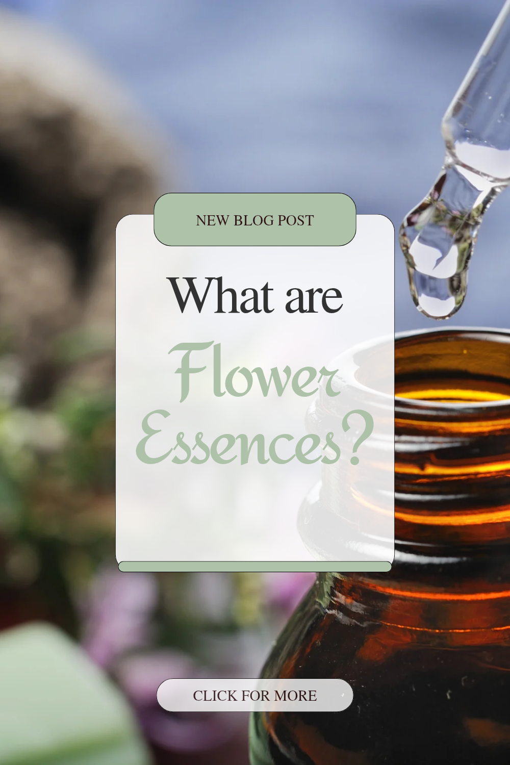What Are Flower Essences? A Beginner’s Guide