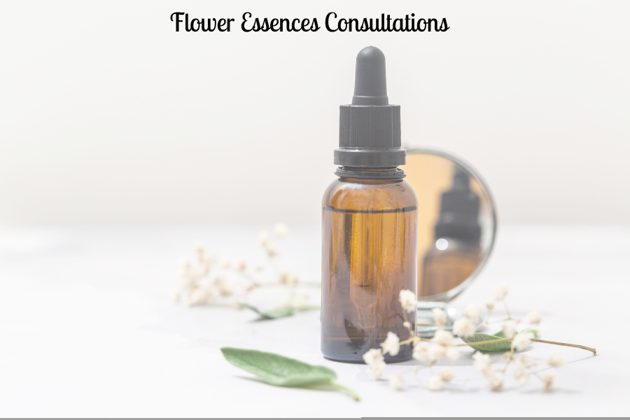 Flower Essences Consultation- On-line or In-person