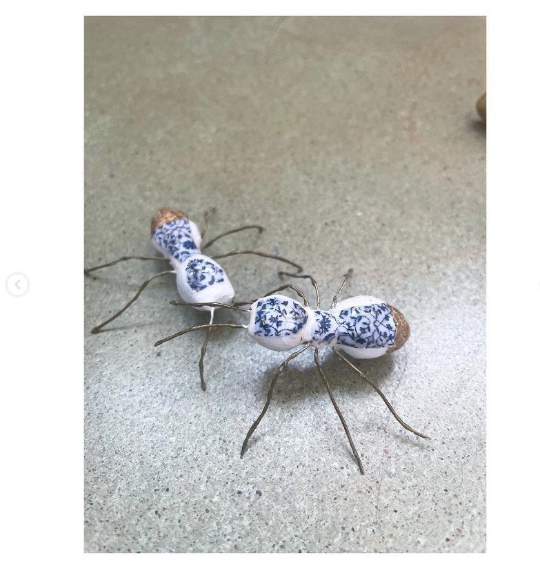 5. Porcelain Ant Experiment.jpg