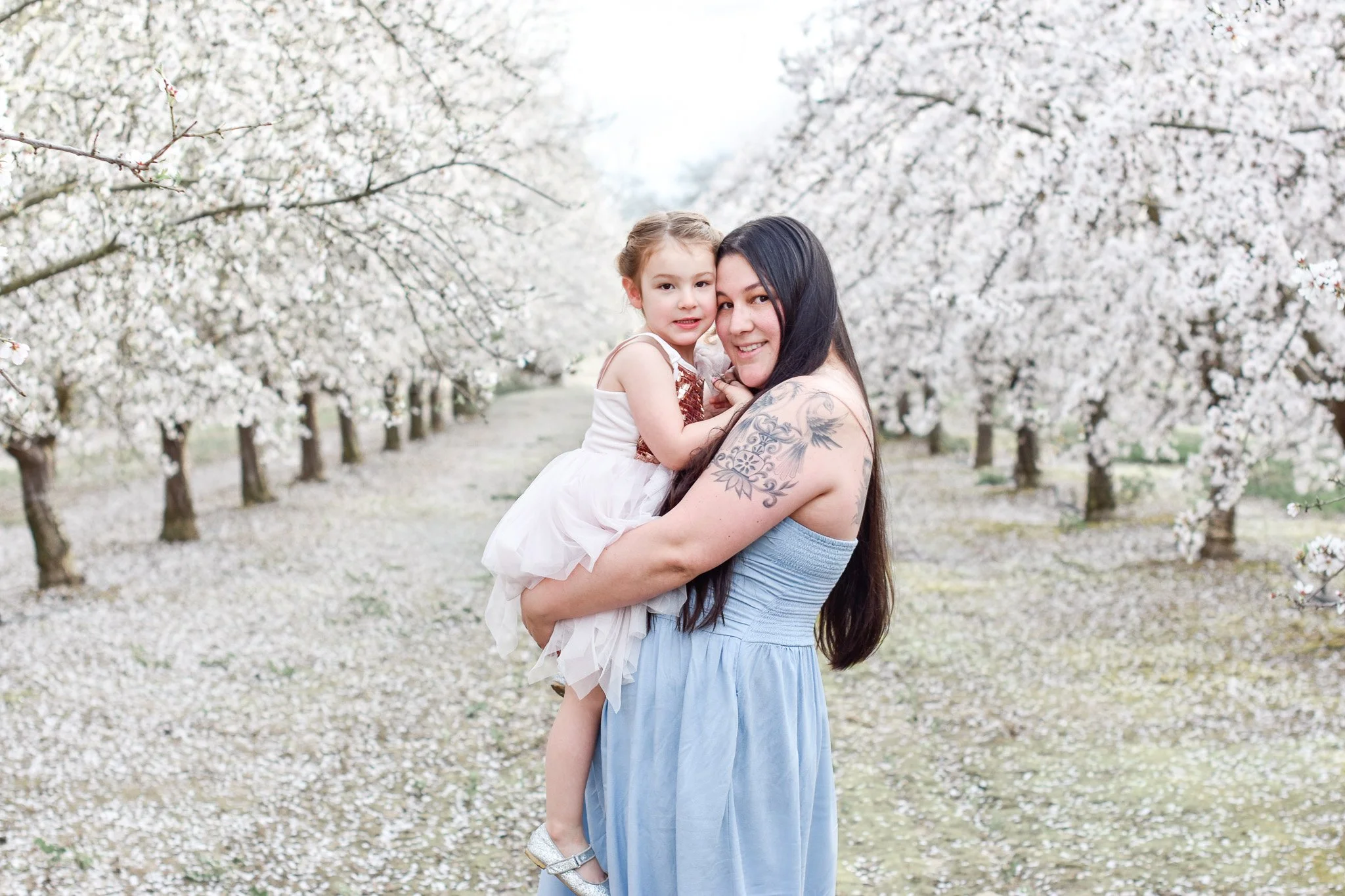 Almond Orchard Blossoms