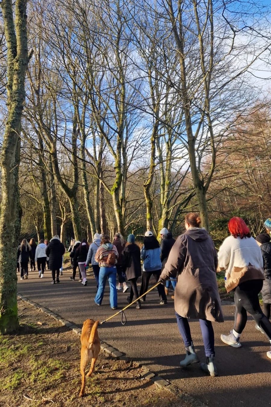 A group of people walking on a paved path through a park with leafless trees during daylight.