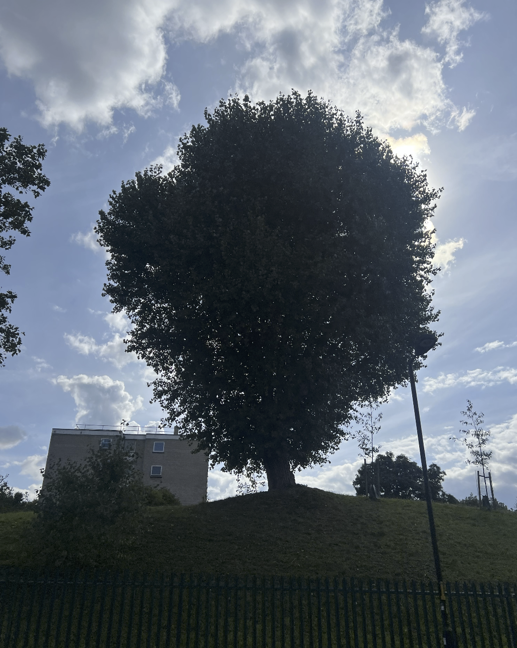 Screen Shot 2026-01-05 at 08.23.55.png