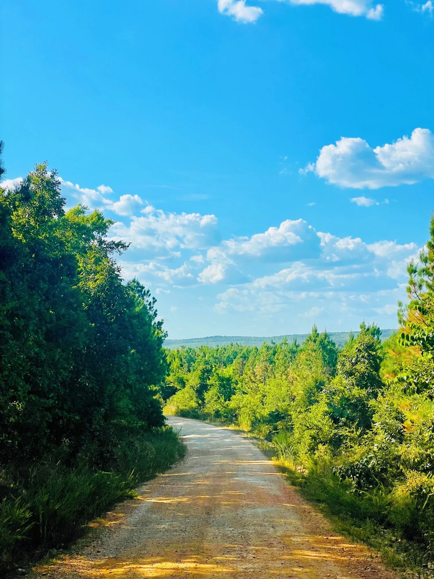 Dirt road winding through a lush green forest in Broken Bow/Hochatown, OK, with a bright blue sky and scattered white clouds overhead.