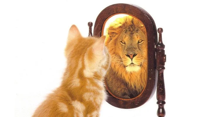 How To Improve Your Executive Presence And Command A Room