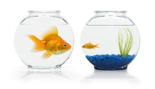 How To Stop Comparing Yourself To Other People