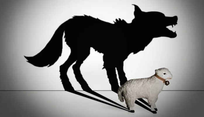 people follow authentic leader