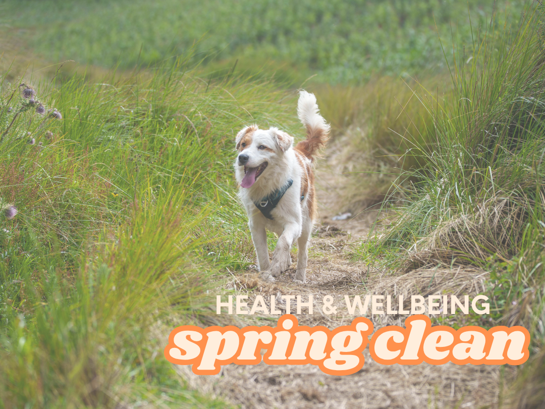 Habits that nourish body and soul
