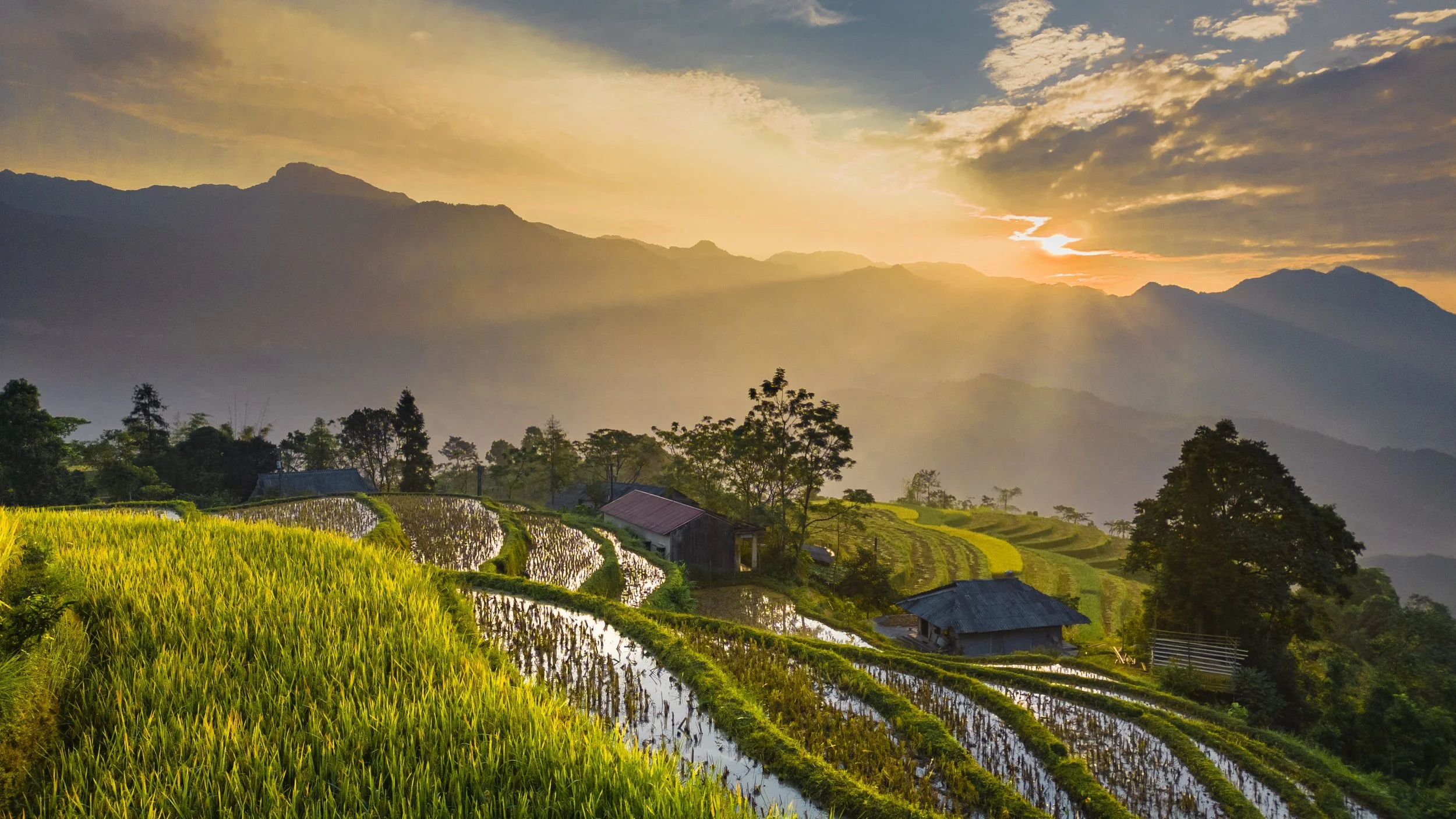 Terraced rice fields on a hillside during sunset, with small farmhouses and trees, mountains in the background, and a sky with clouds and sunlight.