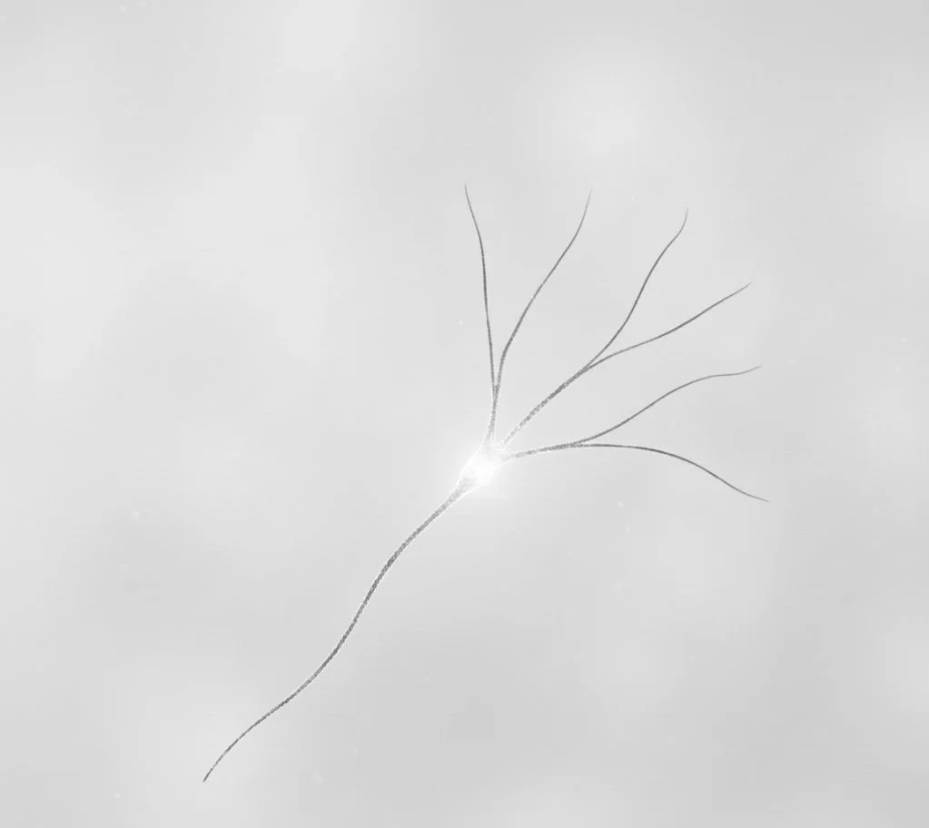 Children/Teen Counseling