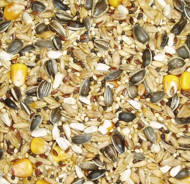 Top Flite - Parrot Mix