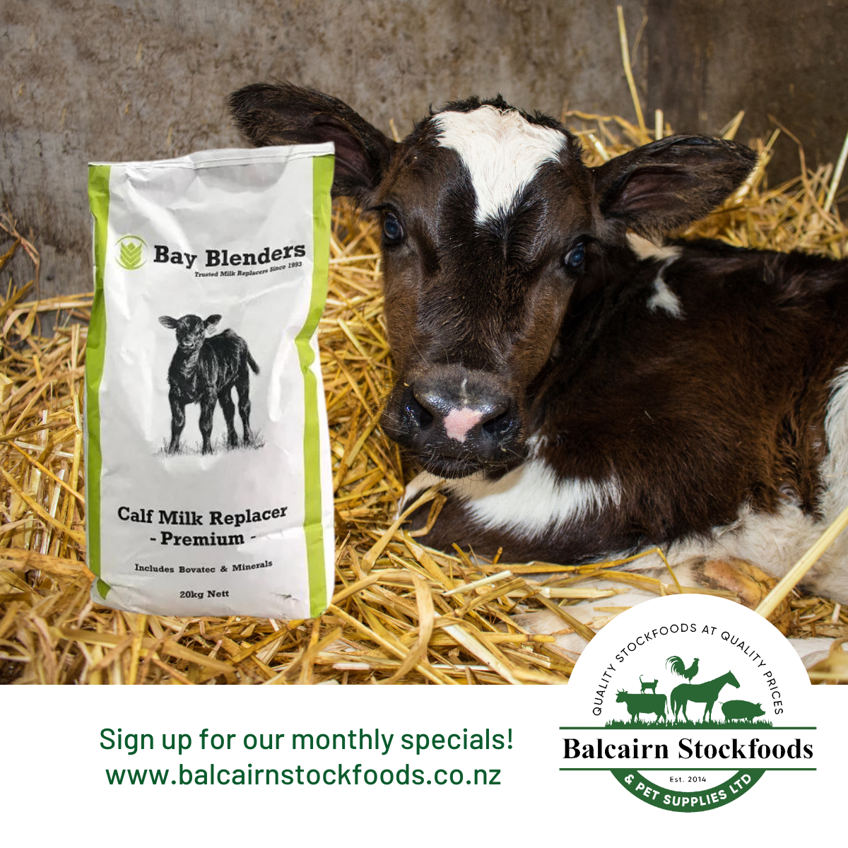 We stock Bay Blenders Premium NZ made Calf Milk Replacer. Contact us for pricing, orders and deliveries.