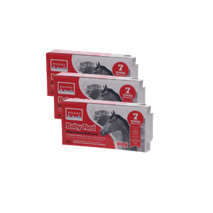 Rockies Baby Red Salt Lick 2Kg