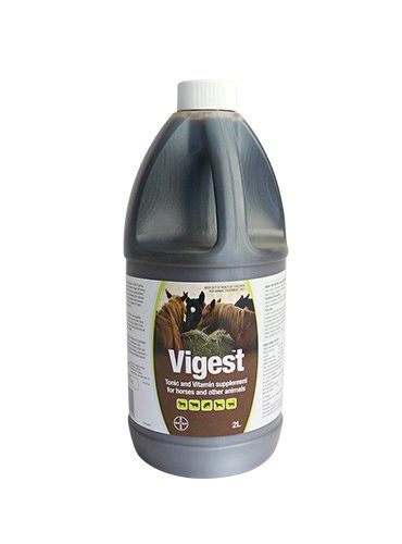 Vigest 2 litre