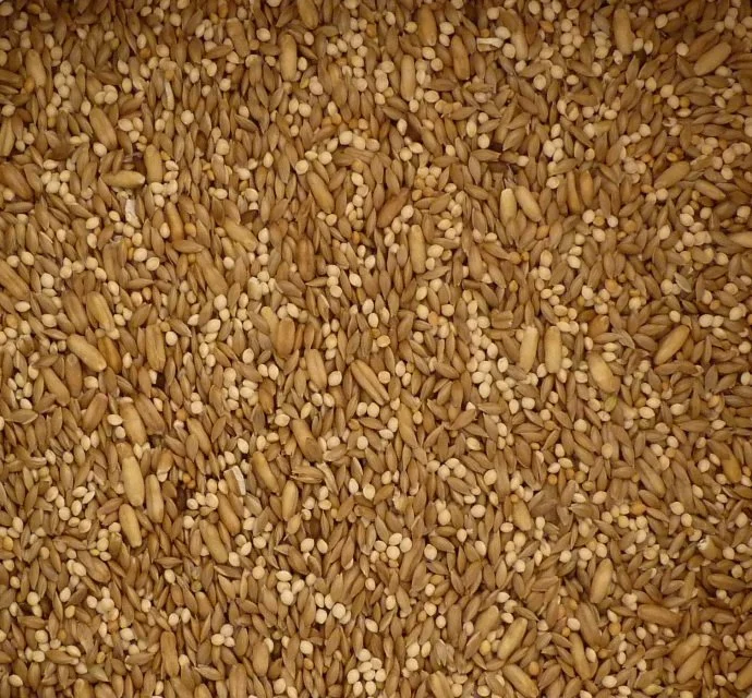 Top Flite - Budgie Mix