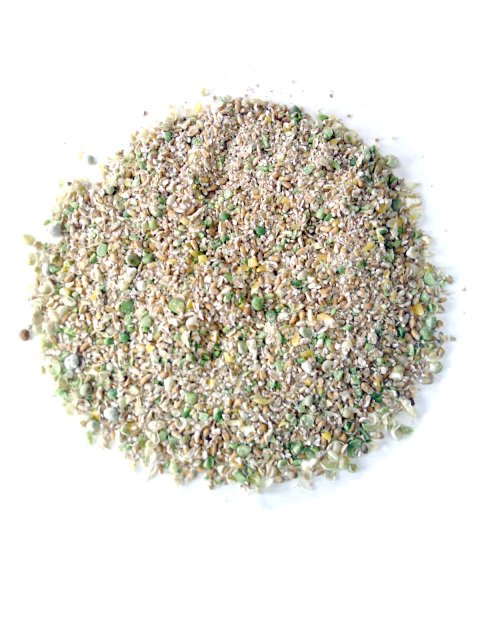 Layer Mash image.jpeg