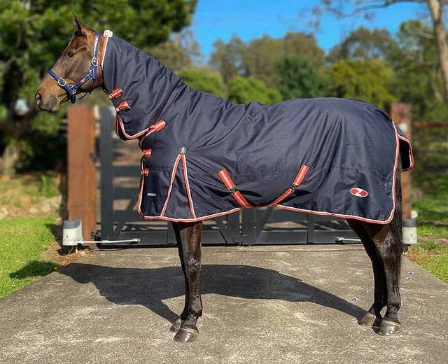 Zilco 200g Pioneer 200 Combo