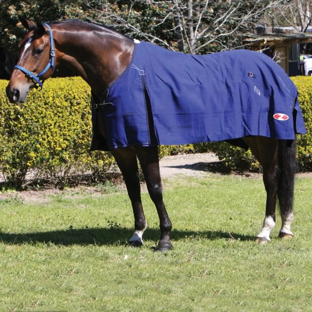 Zilco Blue Mountain Canvas Rug