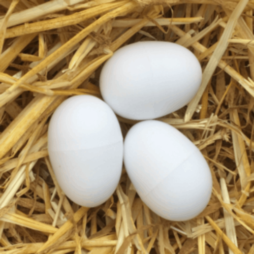 Brood Egg Large Plastic