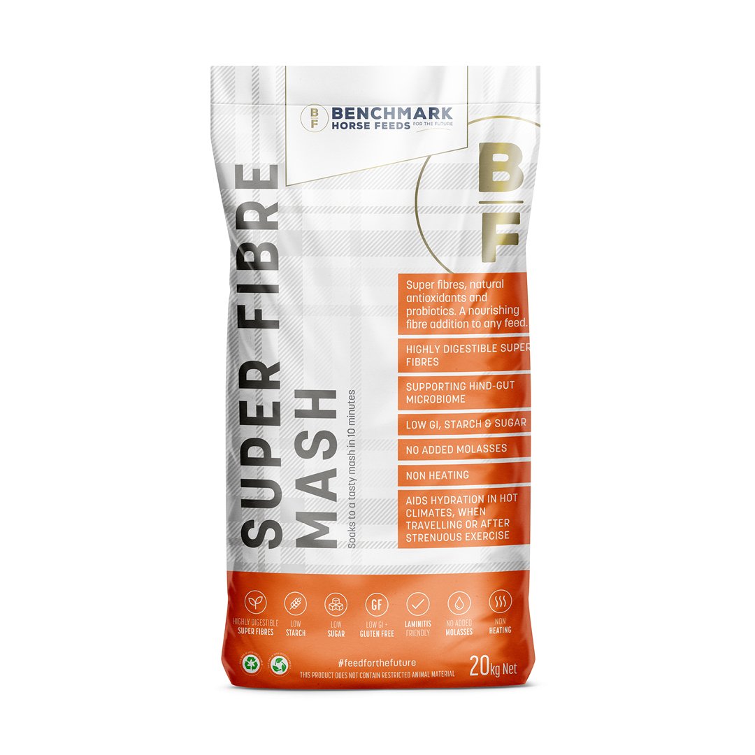 BF_SF Mash_1080x1080px.jpg