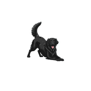 A black dog with a shiny coat, playfully bowing out, in front of a white circle on a black background.
