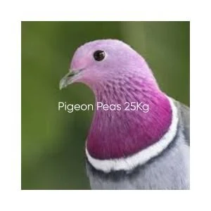 Pigeon Peas.jpg