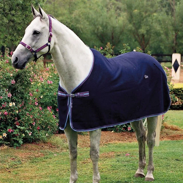 Zilco Defender Wool Rug