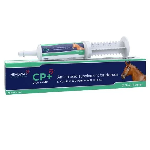 CP+ Oral Paste Syringe - Horse - 60ml