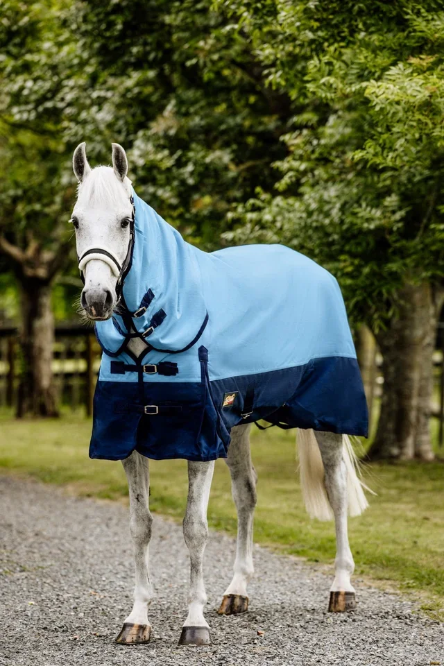 Flair 200gm ALPINE Combo