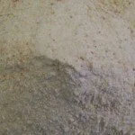 Lorikeet Wet Food.jpeg