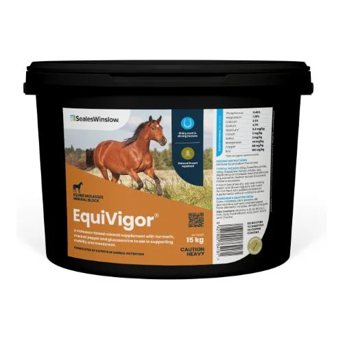 Seales Winslow - EquiVigor Horse Mineral Block with Tumeric 15Kg