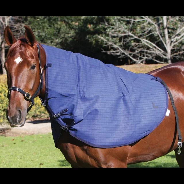 Zilco Blue Mountain Canvas Neck Rug