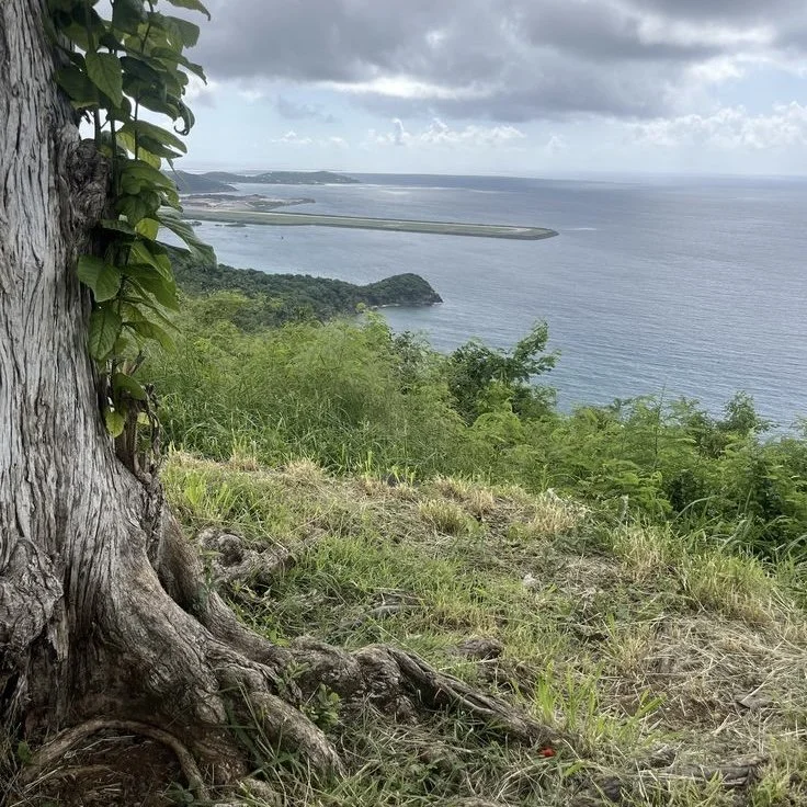 Edmund vs. The Consequences of William's Actions