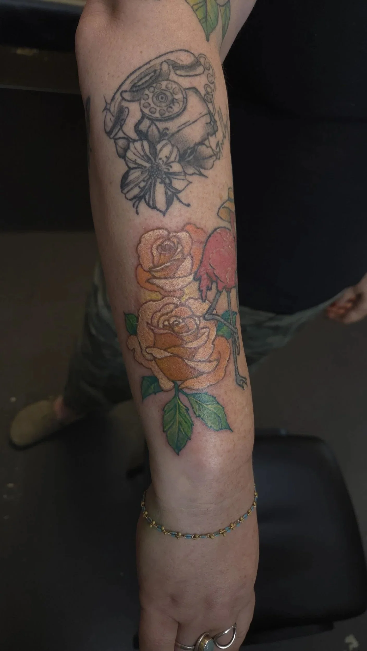 Matthews_Shrek_2025_roses.jpg