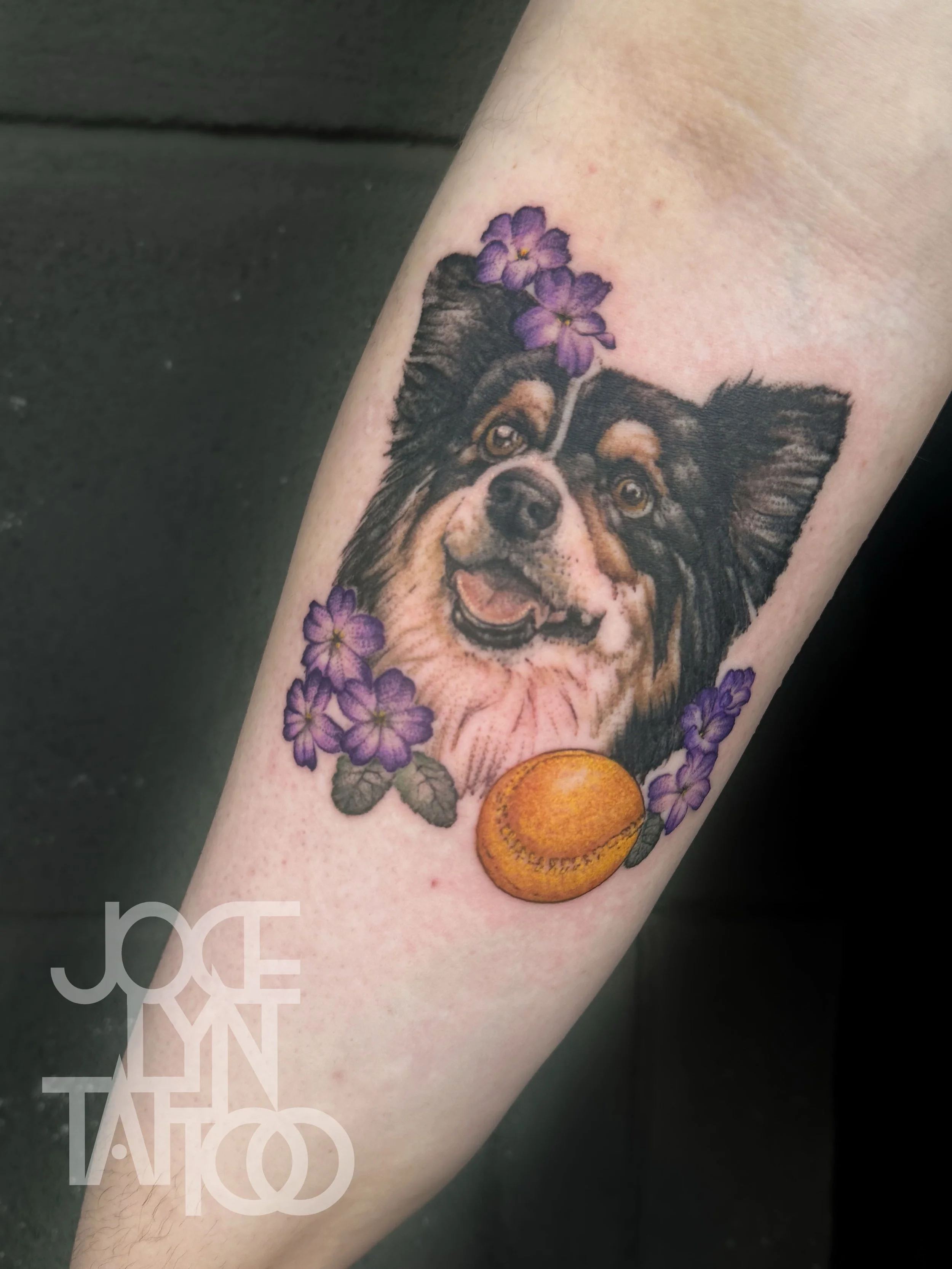 McGregor_Jocelyn 202510_Corgi.jpg