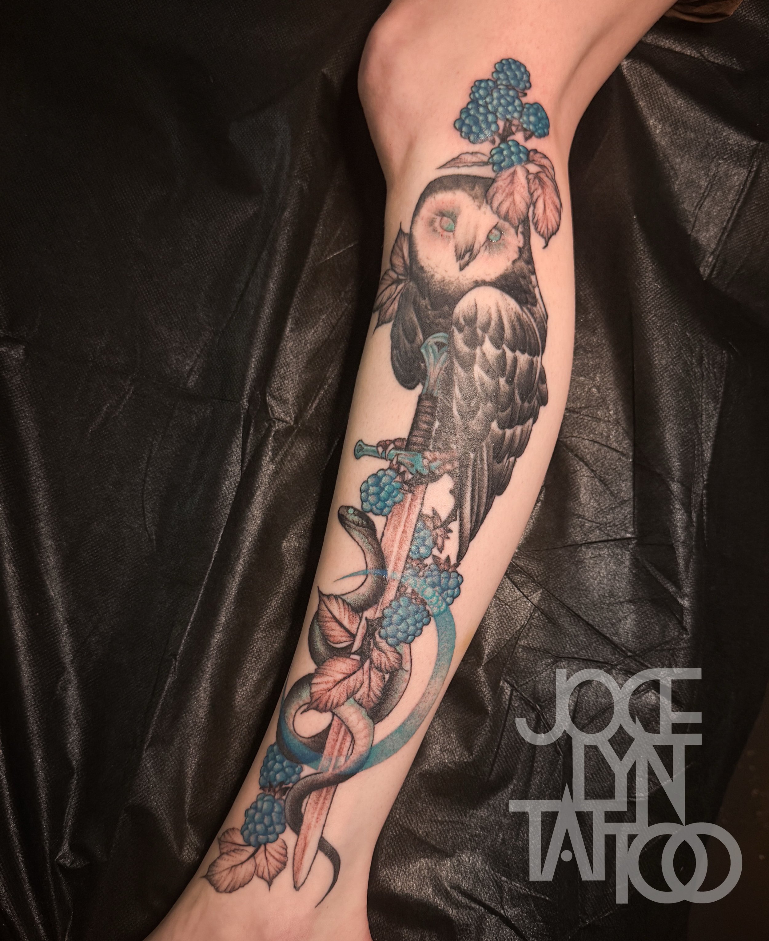 McGregor_Jocelyn_202407_OwlSnakeLeg.jpg