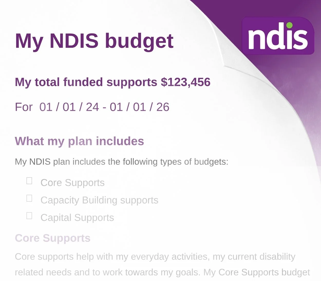 NDIS budget report sample 
