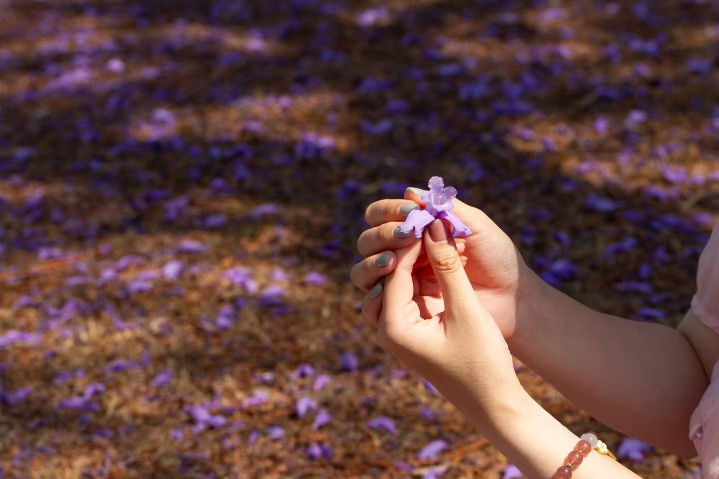 On-site observation and ILP development session