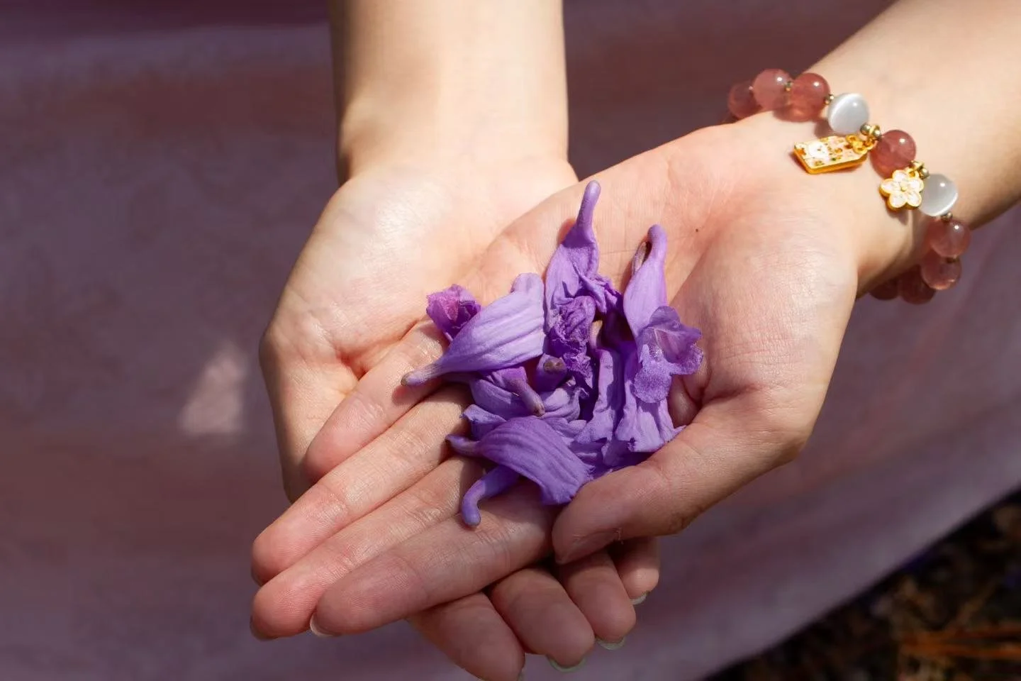 Individual inclusion support session