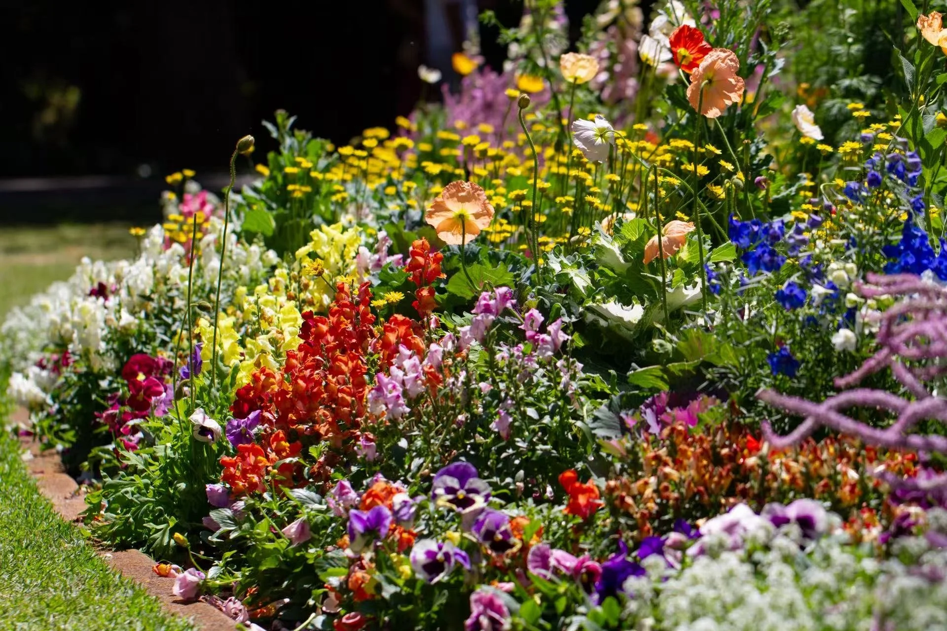 Chinese Culture Incursion Starter Pack