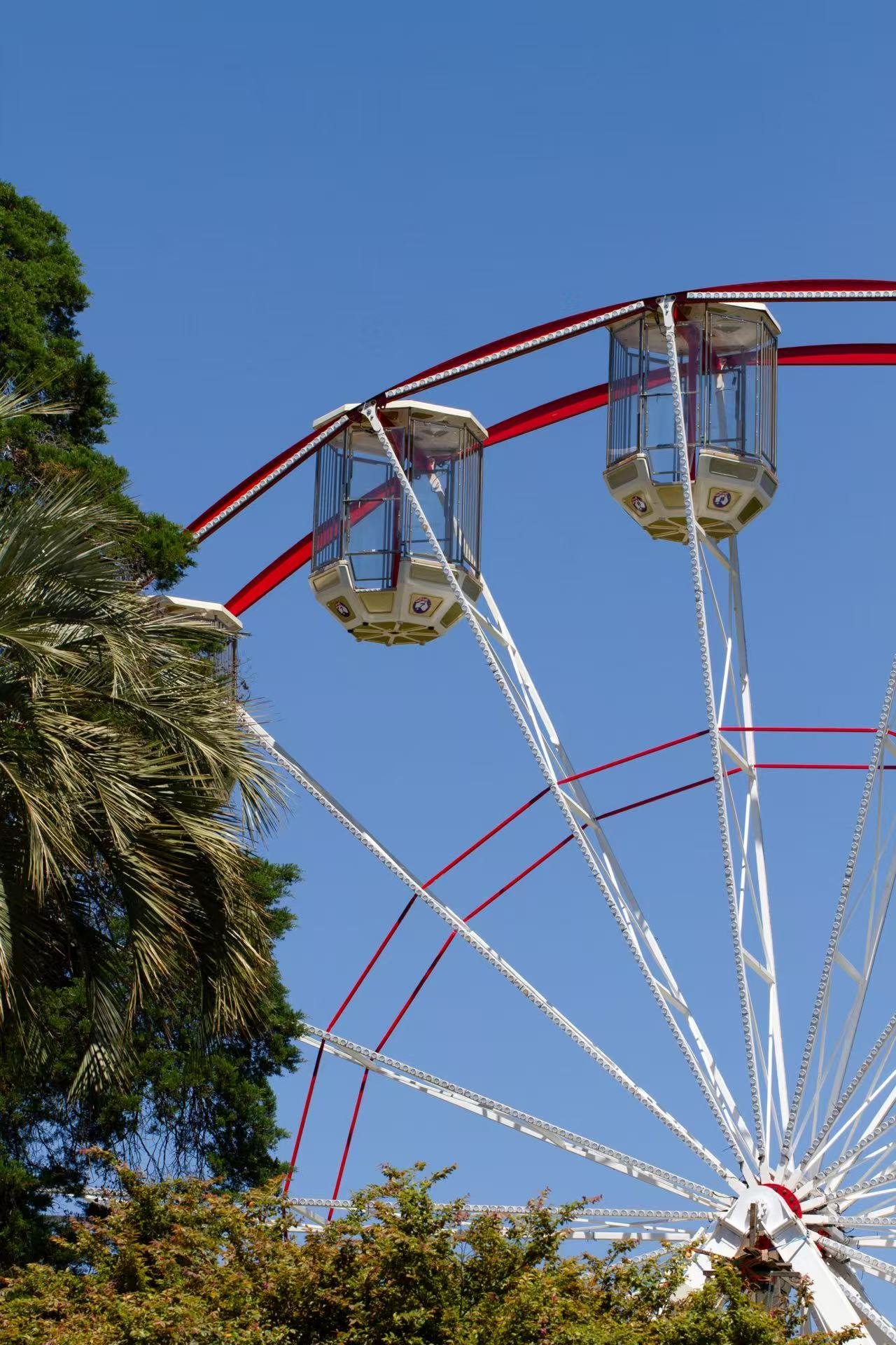 How to Talk About Chinese Culture with Young Children: A Practical Cultural Communication Guide for Educators